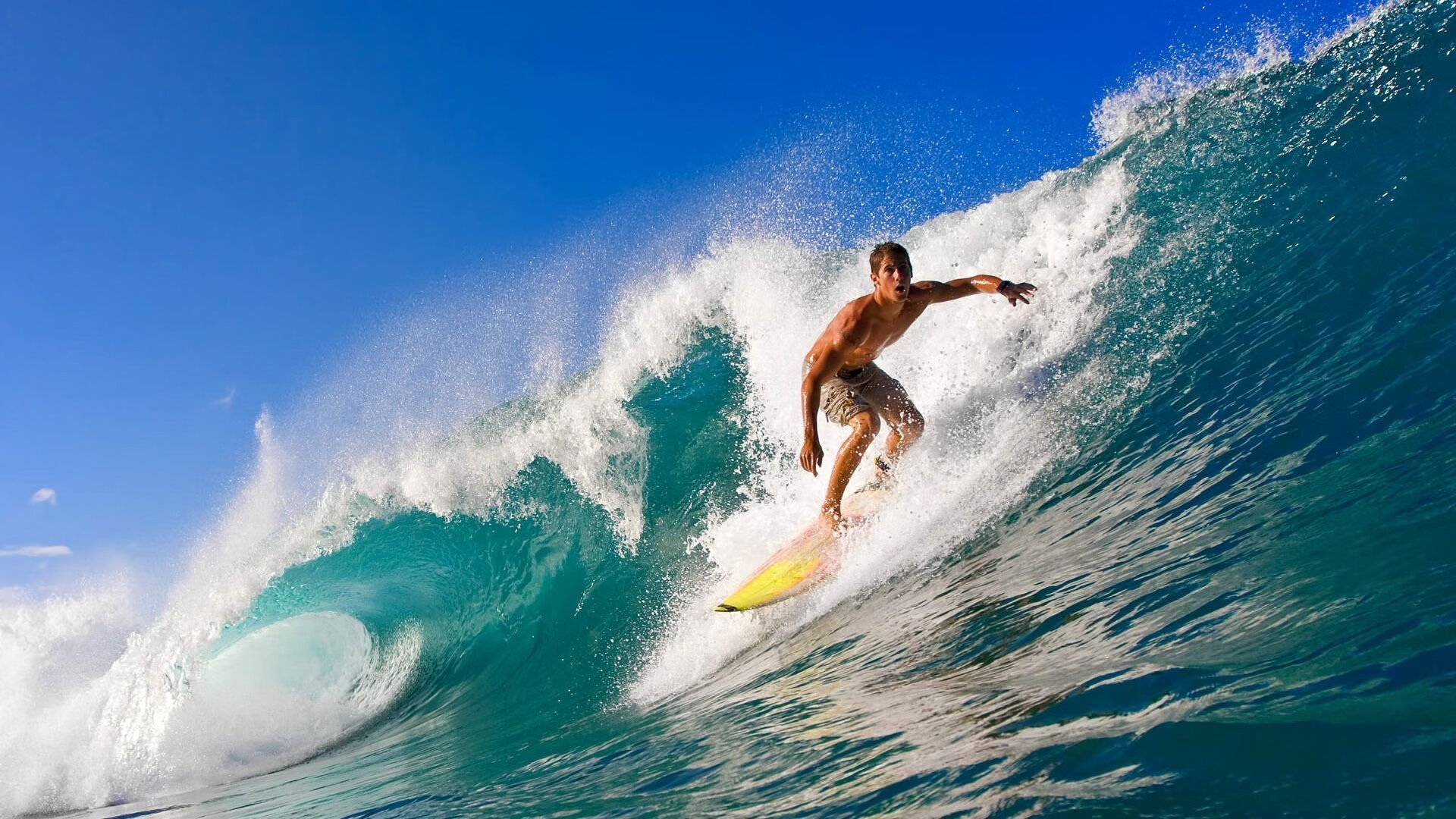 九游手游官网-电竞战队的粉丝互动：线上交流与线下活动，电竞战队在哪里训练